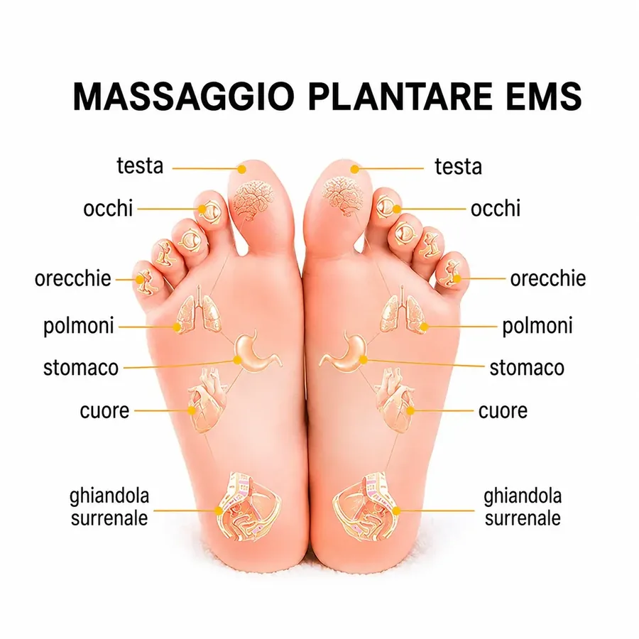 Mappa della riflessologia plantare EMS